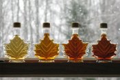 Grades of Maple Syrup